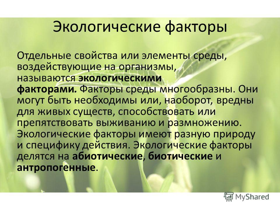 Сердечки со сливками рецепт 97