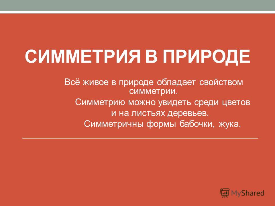Купить материалы для наращивания ресниц в интернет-магазине Кофточки