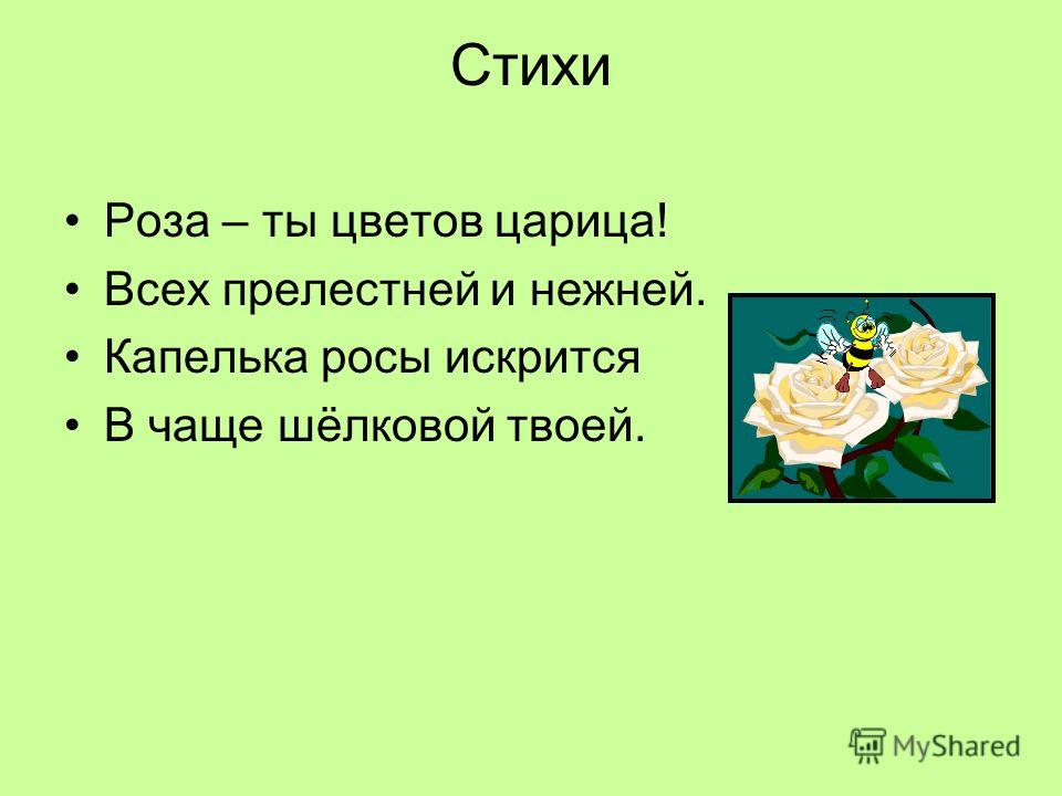 Стих о розе четверостишье Стих о розе четверостишье