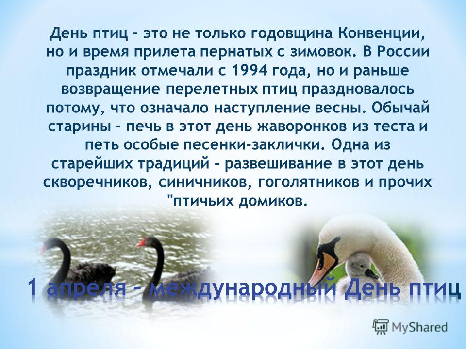 Поздравления с днем рождения предпринимателю Поздравительные телеграммы на юбилей. Обсуждение на LiveInternet