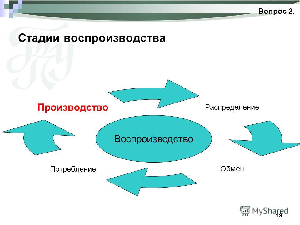 Выберите правильный порядок расположения стадий воспроизводства