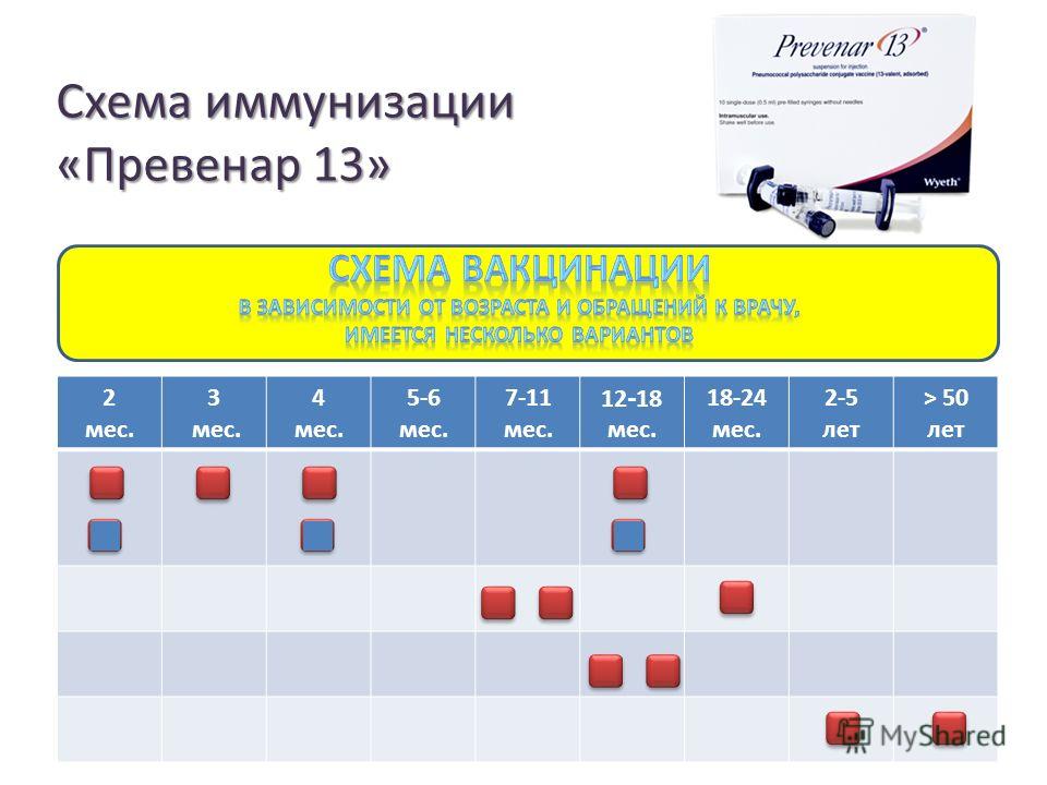 Вакцина превенар схема вакцинации Вакцина превенар схема вакцинации