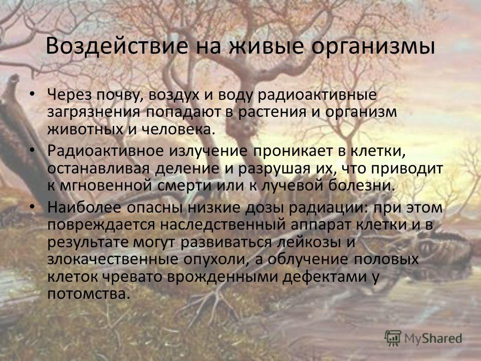 Влияние радиоактивности на окружающую среду проект Влияние загрязнений на живые организмы презентация 11 класс - Basanova.ru
