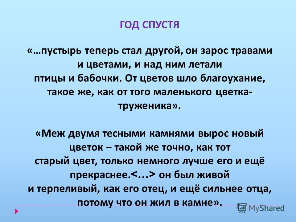 Ужель та самая герань, или "Прекрасная гармония в окошках пеларгония" Пеларгония Scarlet Rambler
