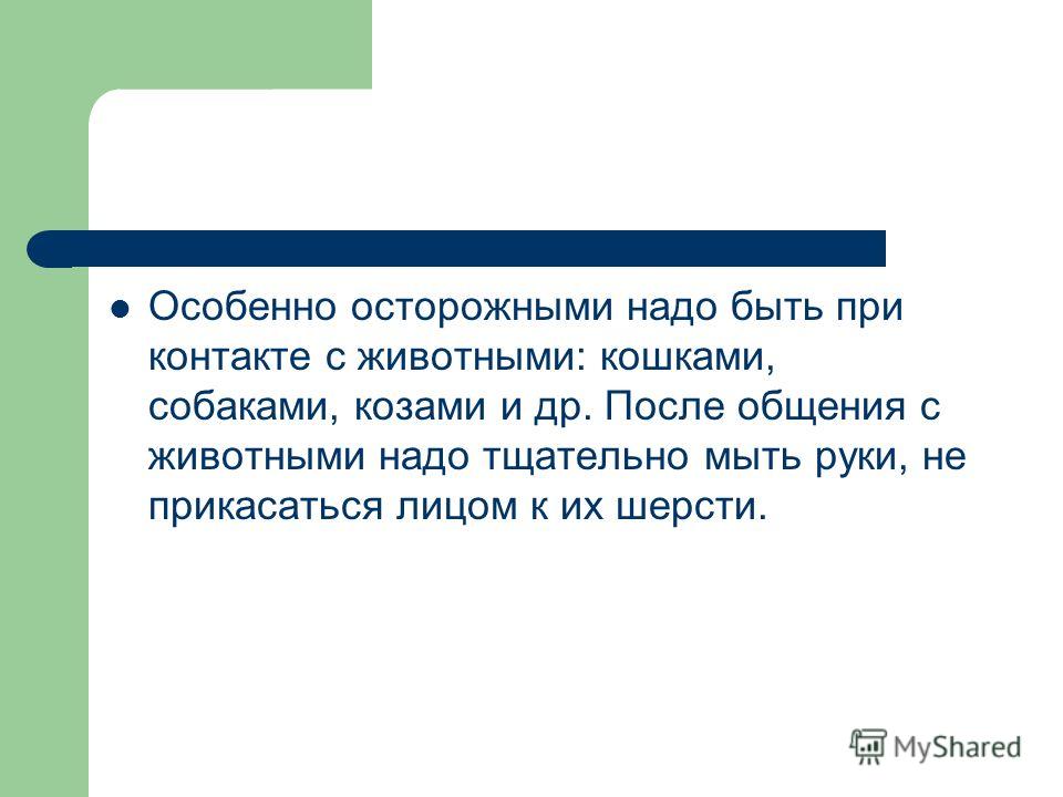 Висцеральный массаж живота: хиропрактика, противопоказания Виды лишая на коже, руках и теле человека фото, симптомы и