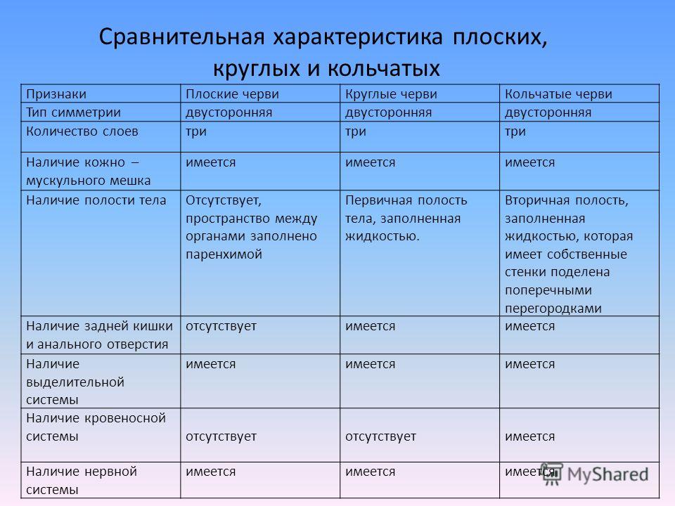 круглые черви у человека круглые черви у человека