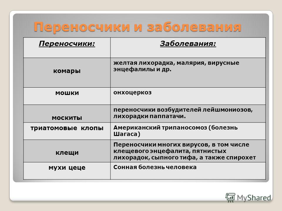 Доклад по теме Онхоцеркоз