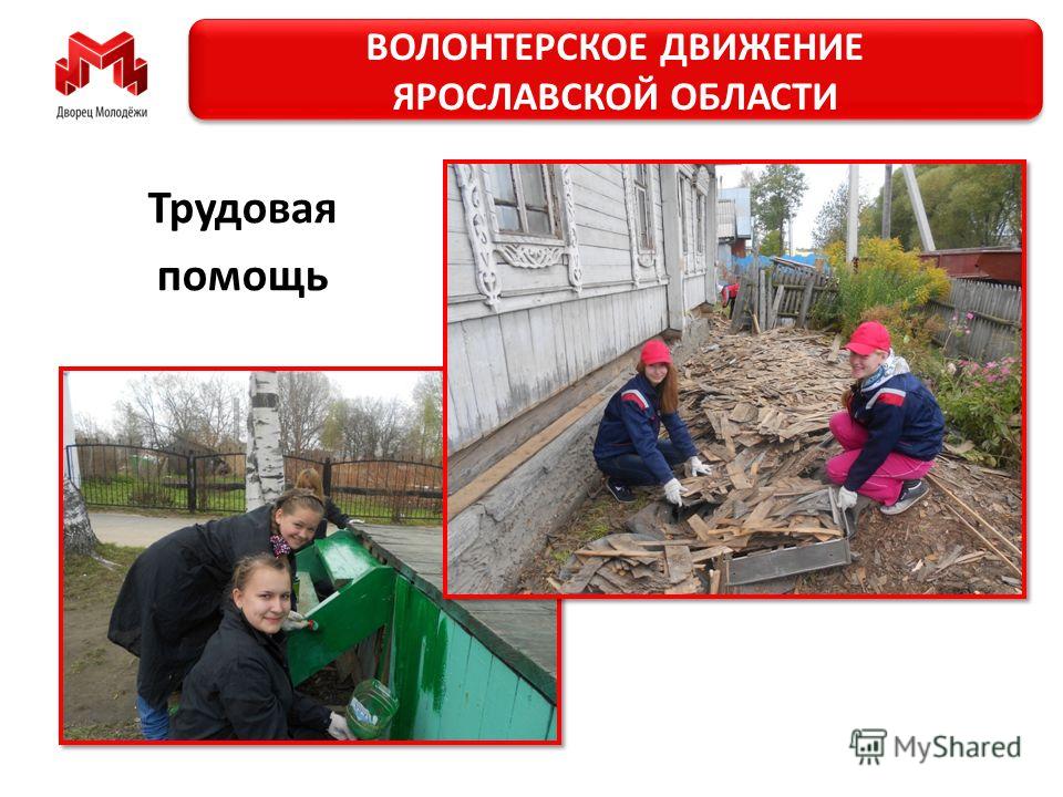 Личная Книжка Волонтера скачать