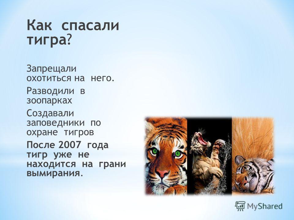 Она тигрица стих Она тигрица стих