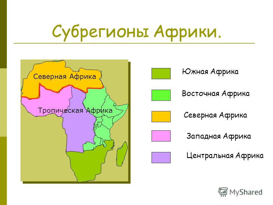 География 11 кл конспект урока деление африки на субрегионы