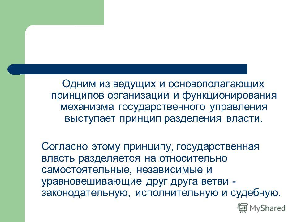 Реферат: Принципы разделения властей в РФ