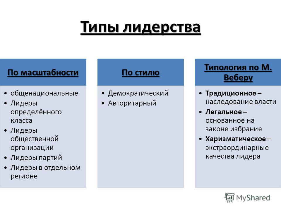 Типы лидеров и их схемы Типы лидеров и их схемы
