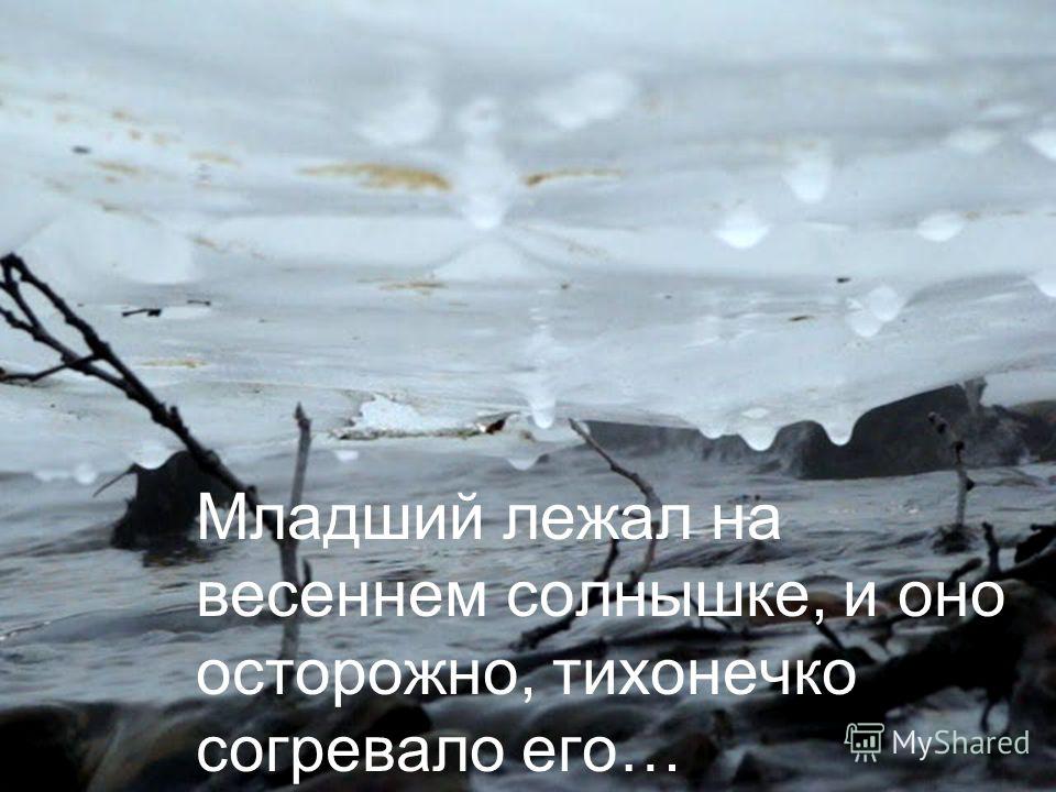 Евгений Шварц* Е. Шварц - Золушка Евгений Шварц* Е. Шварц - Золушка