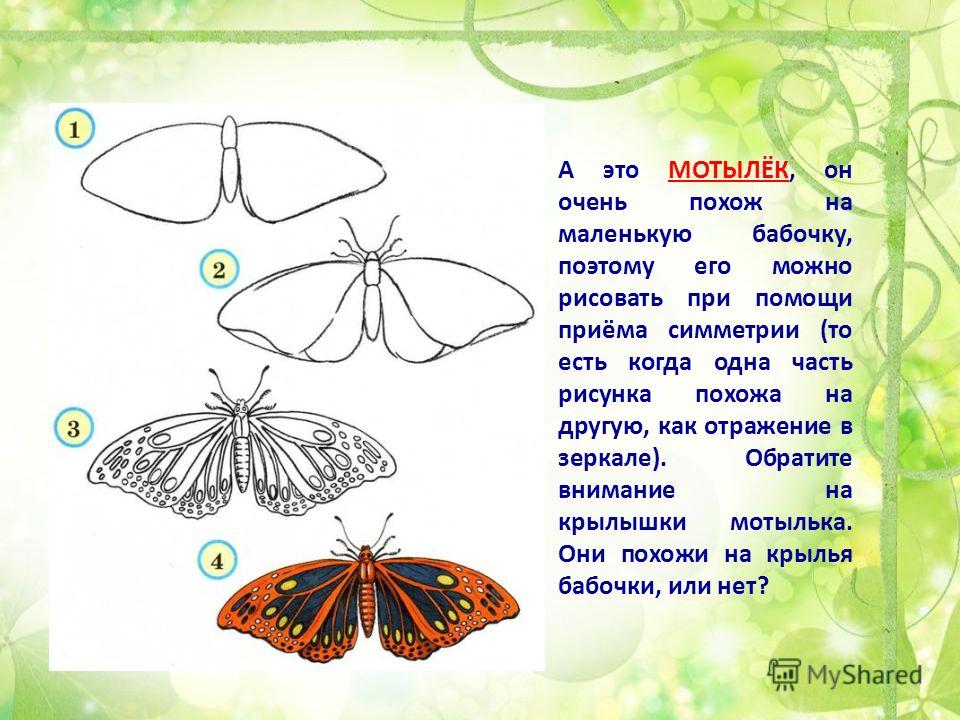 Урок по изо 4 класс рисование бабочки стрекозы жука