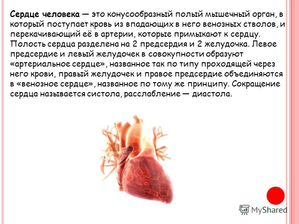 Доклад по теме Сердце как орган высшего познания
