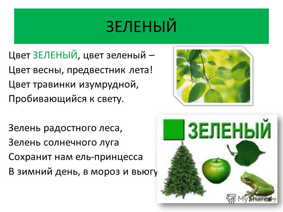 Проект Знакомство С Зеленым Цветом