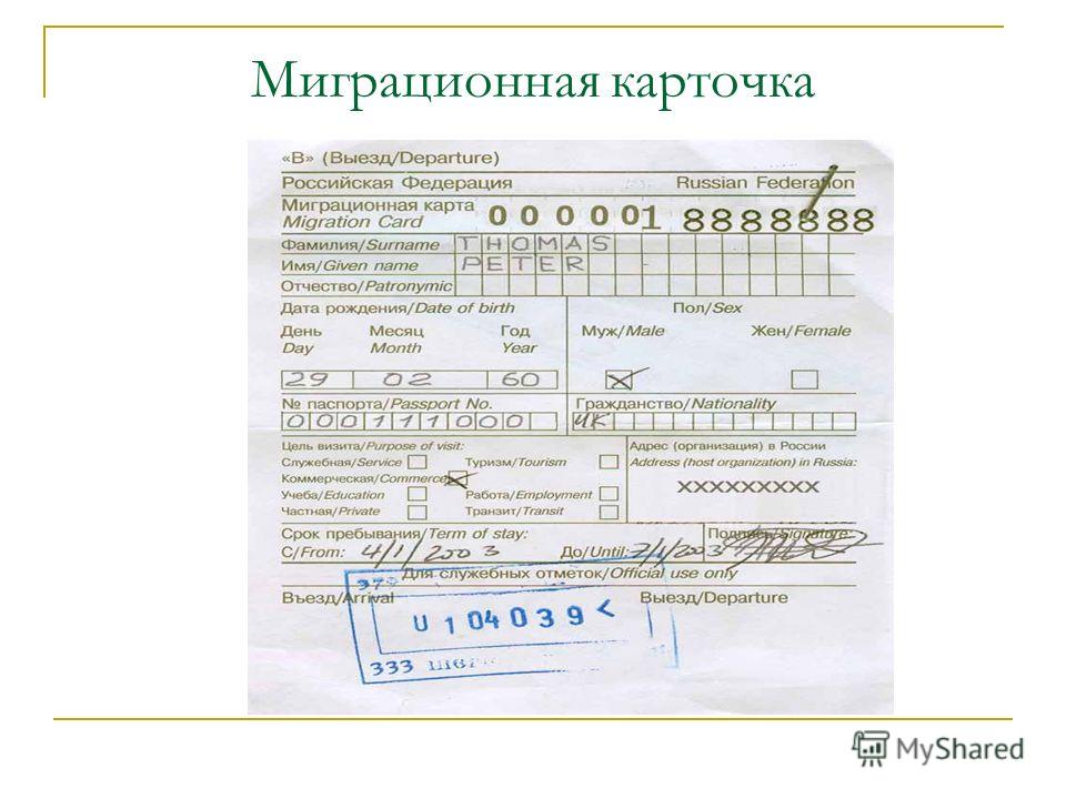 Как выглядит миграционная карта таджикистана Авито миграционная карта