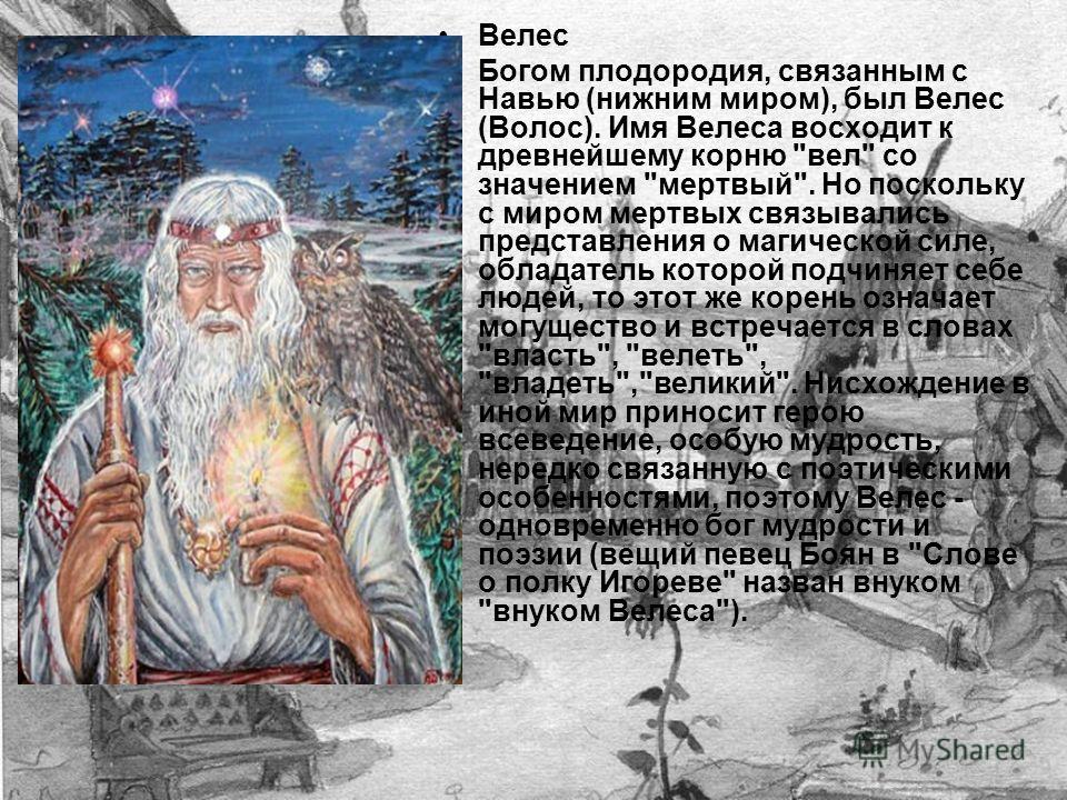 Как сделать ламбо двери своими руками - инструкция, схема установки Глава 4 Нос, рот и уши / Как читать человека. Черты лица, жесты, позы