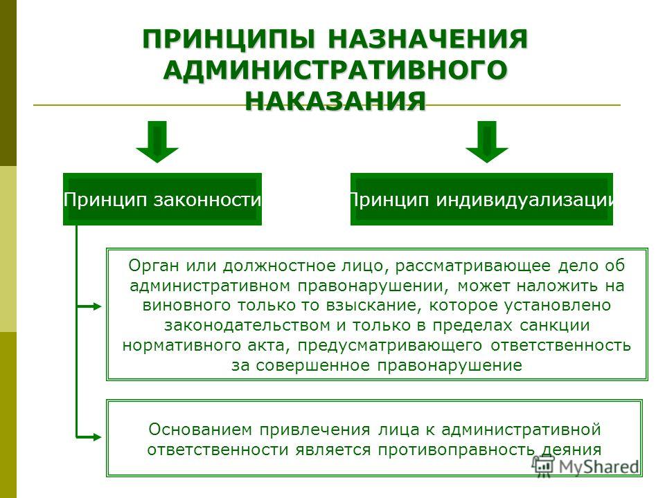 Кто может назначить штраф за административное правонарушение Уход за сидячими больными в домашних условиях