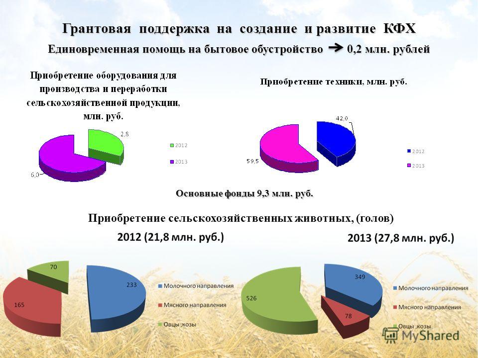 Презентация на тему: "Проект "Живой город" Теплица - модуль проекта, рабочий инс