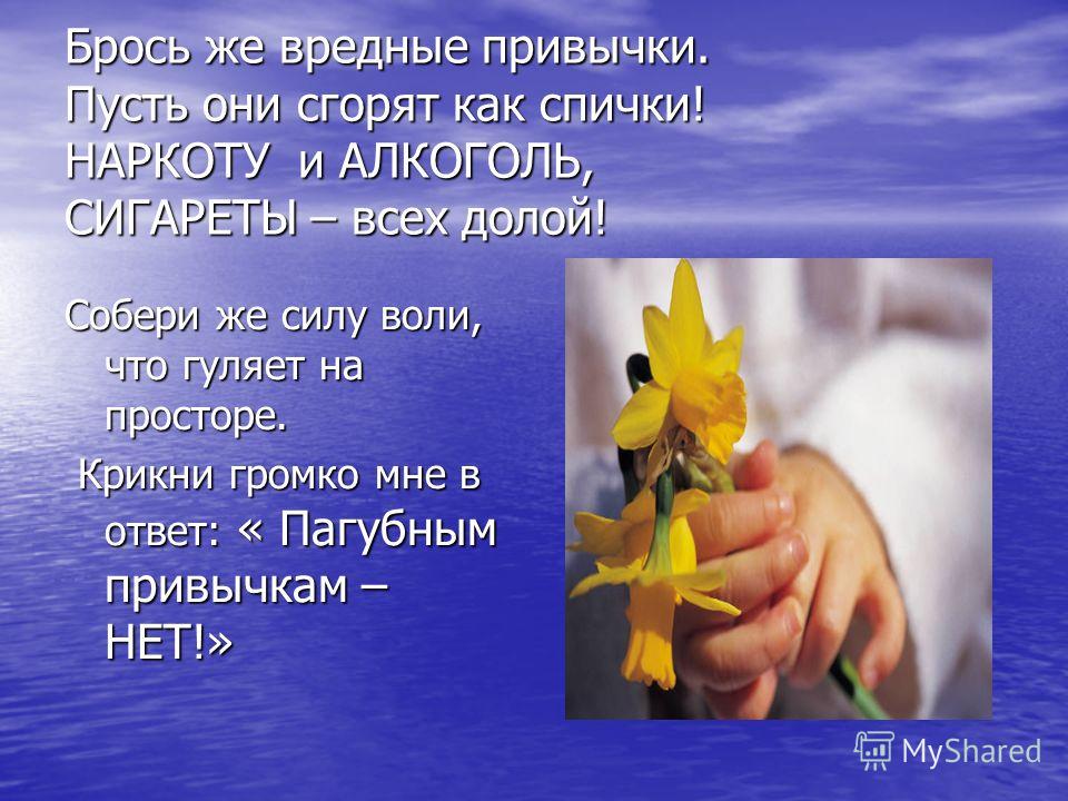 Сценарий нет вредных привычек Сценарий нет вредных привычек