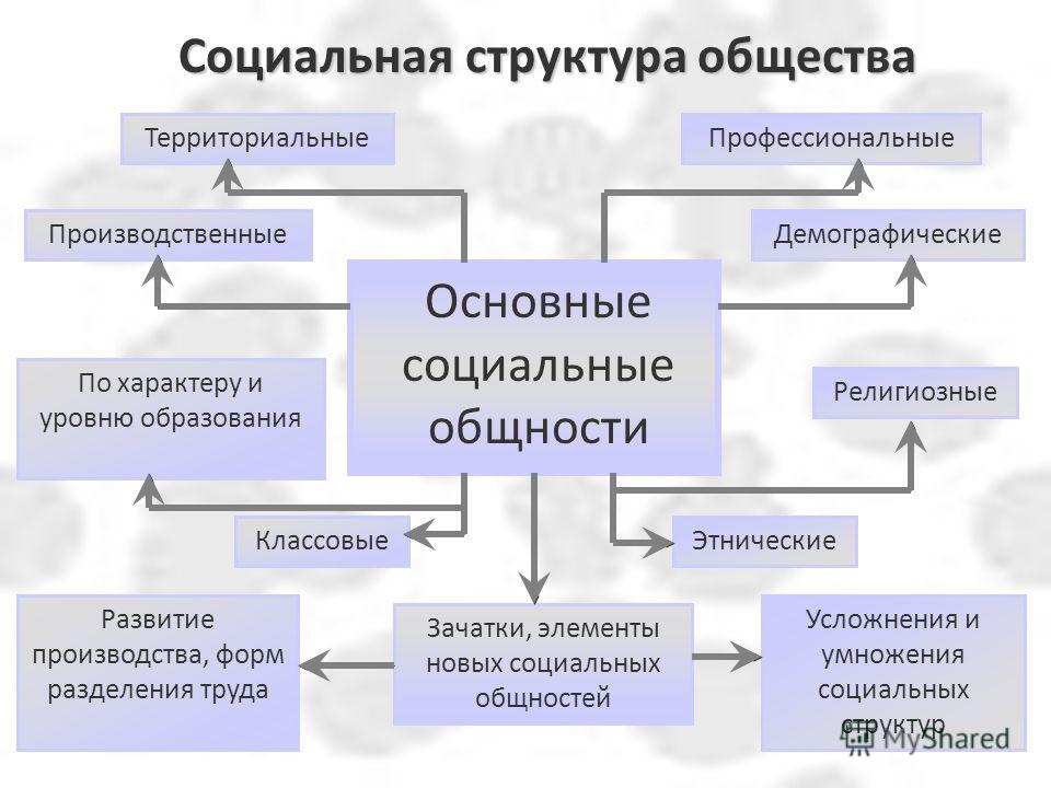 Контрольная работа по теме Социальная структура современного украинского общества