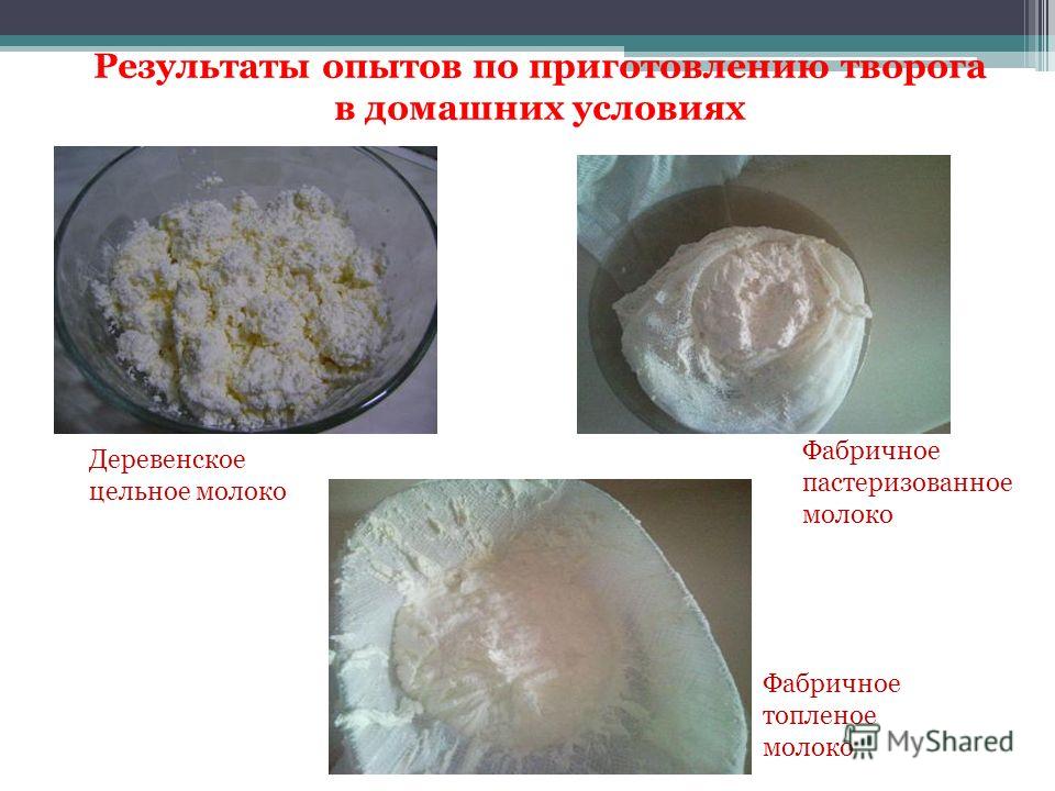 Как пастеризовать молоко в домашних условиях Как пастеризовать молоко в домашних условиях