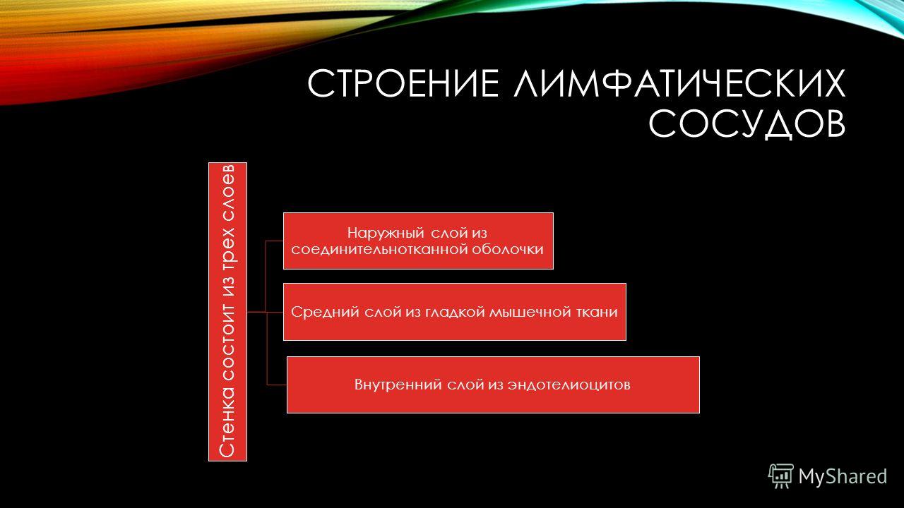 И г вена иммуноглобулин купить