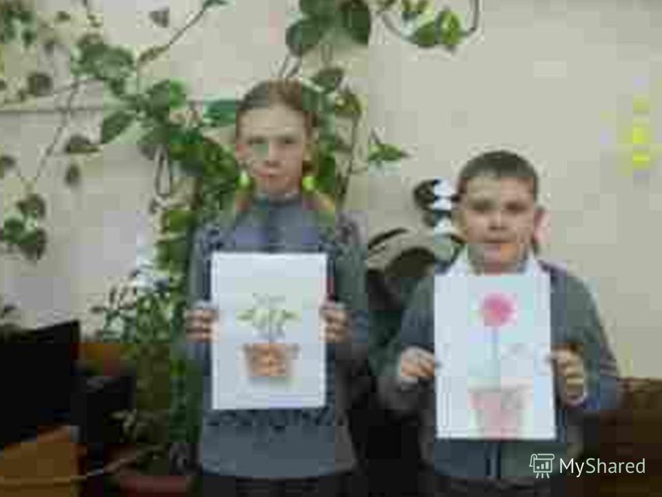 Условия ухода за комнатными цветами на Условия ухода за комнатными цветами на