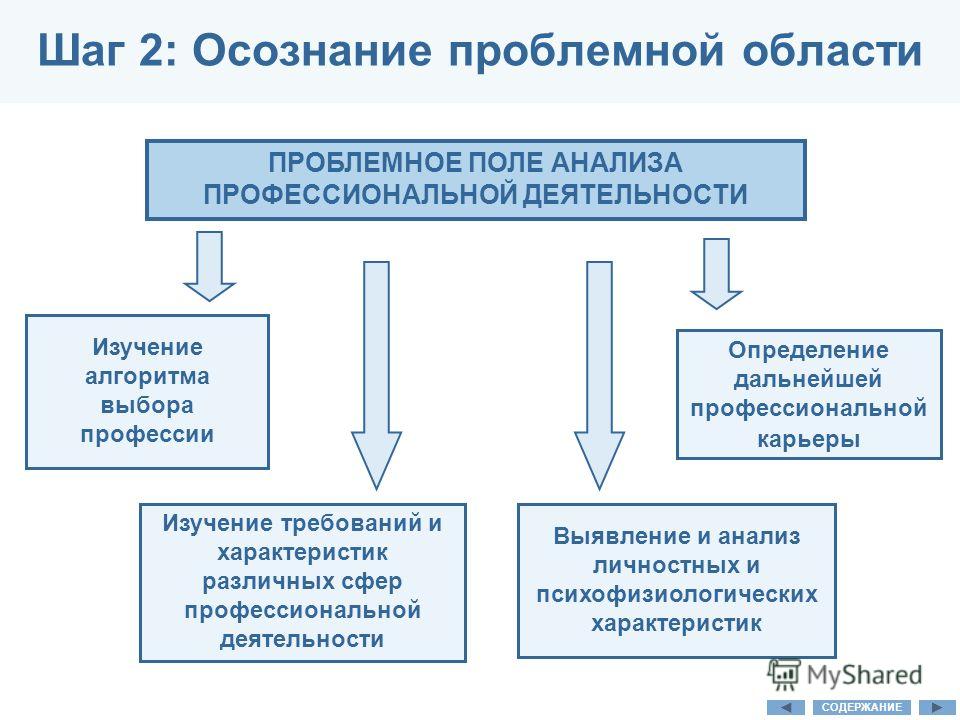 Подпроблемы проблемной области творческого проекта мой профессиональный выбор