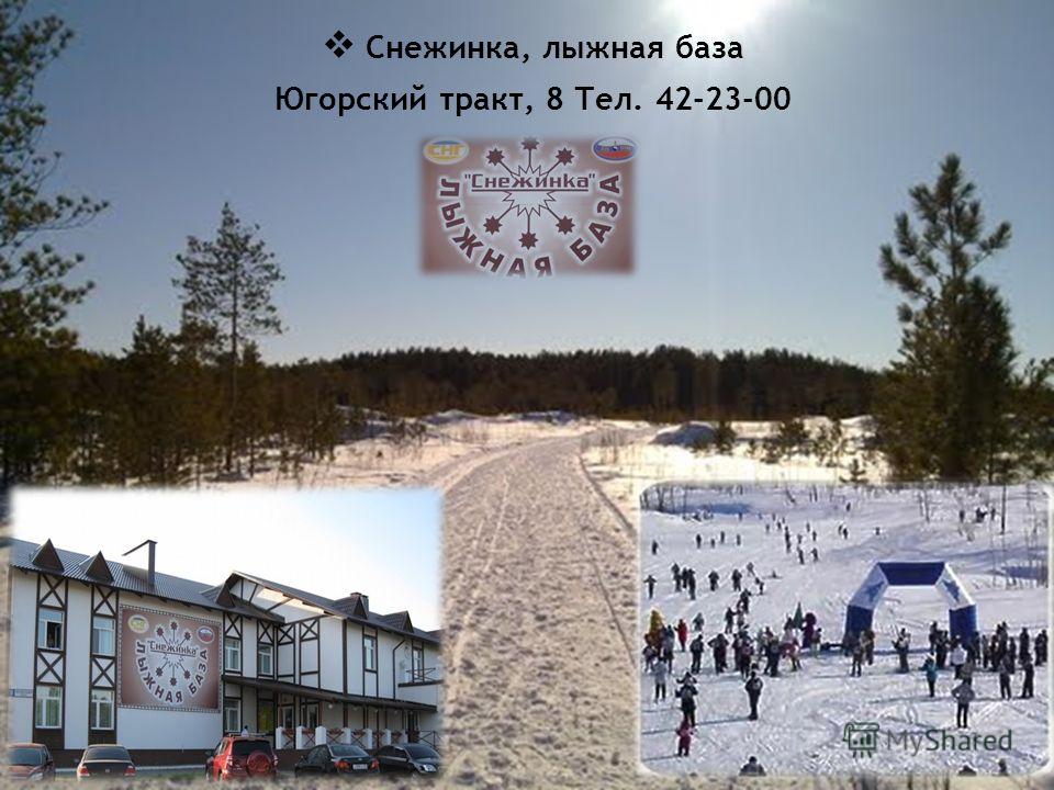 Лыжная база Снежинка Губкинский