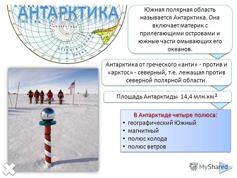 Доклад на тему антарктида 4 класса