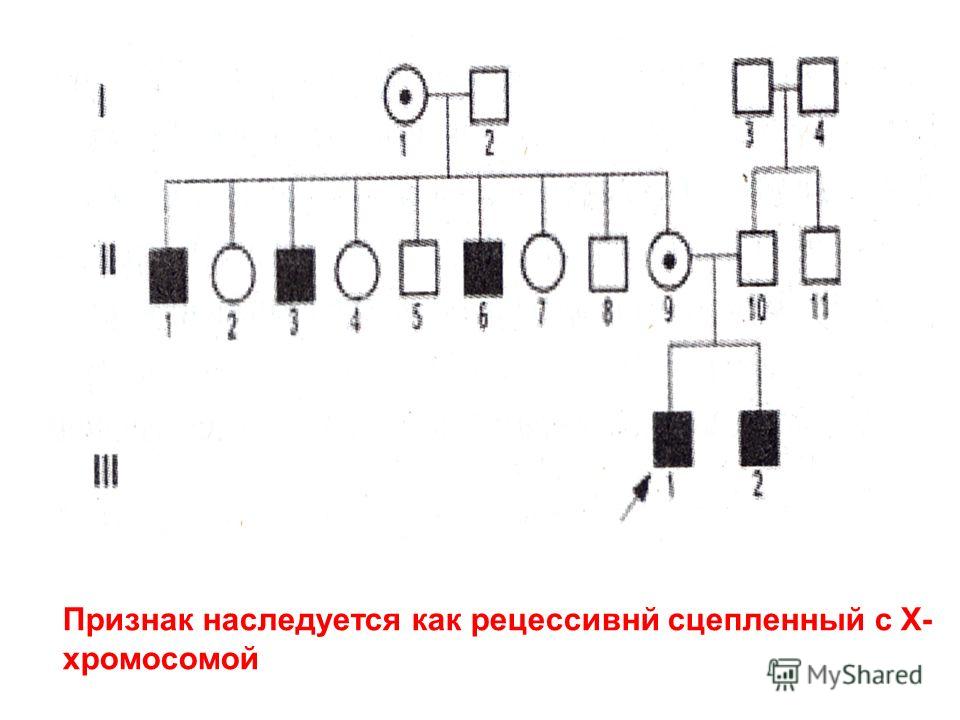 Ютуб как сделать желе из красной смородины Ютуб как сделать желе из красной смородины