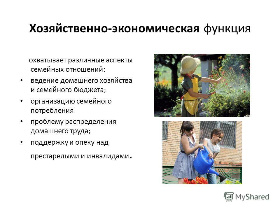 Характеристика основных функций семьи