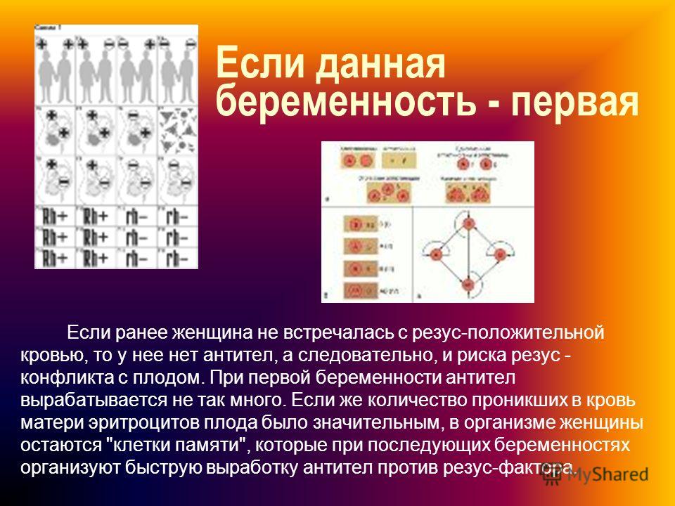 Первая беременность антитела Первая беременность антитела