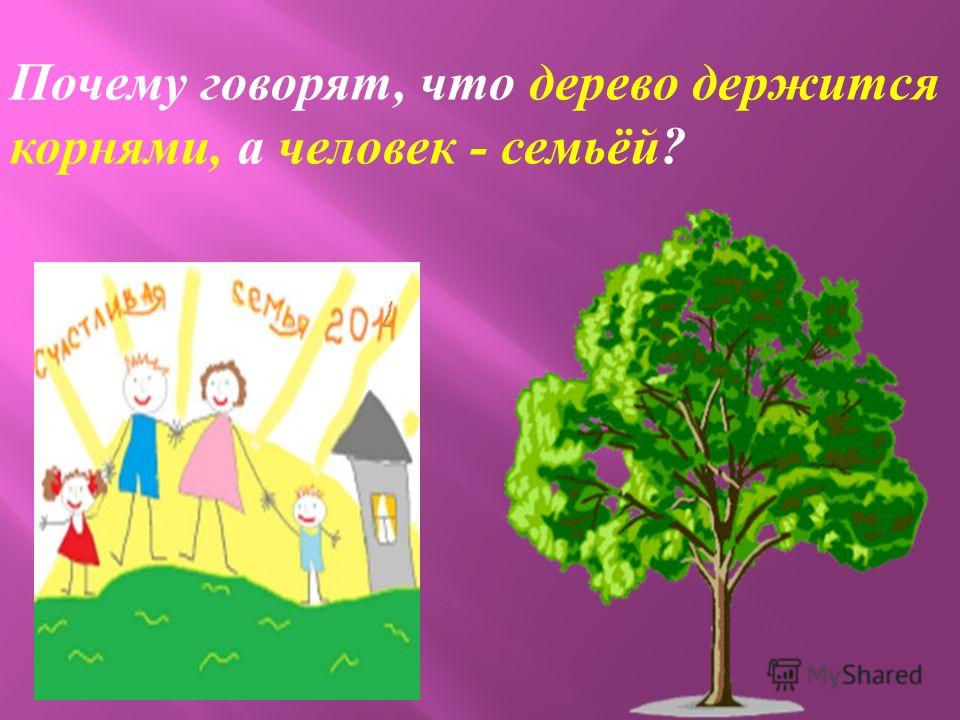 Почему говорят, что дерево держится корнями, а человек - семьёй ?