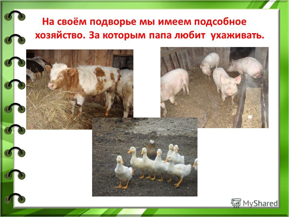 Поделки на тему мы дружная семья Поделки на тему мы дружная семья