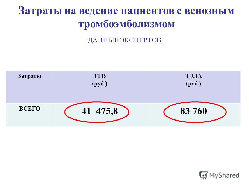 Структура тазобедренного сустава Структура тазобедренного сустава