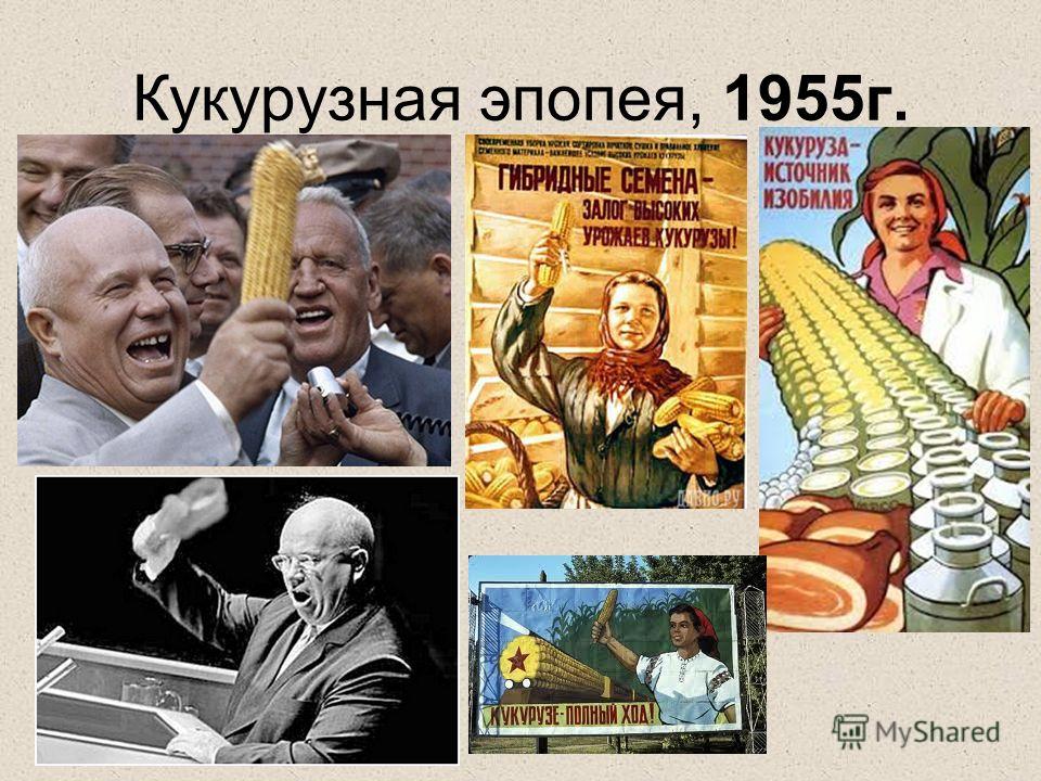 Кукурузная эпопея связано с деятельностью Кукурузная эпопея связано с деятельностью