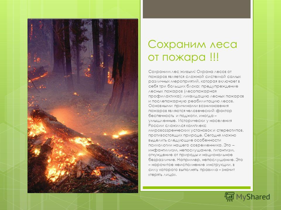 Контрольная работа: Лесные пожары - реферат