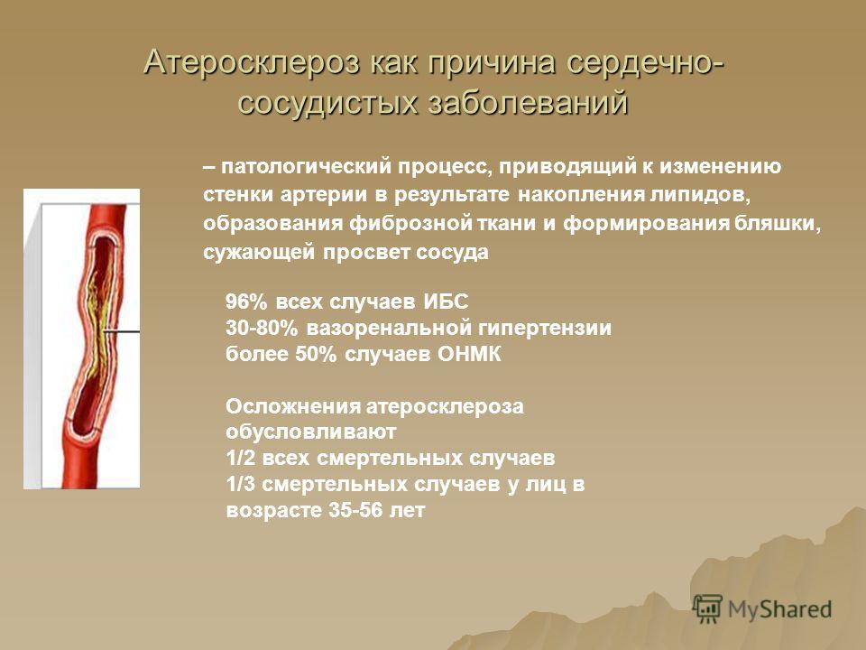 Диснейленд в Америке — почувствуйте себя мультяшным героем 11 Диснейленд в Америке — почувствуйте себя мультяшным героем 83
