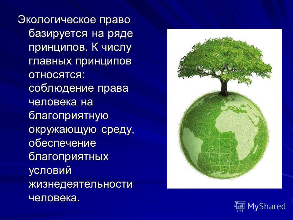  Главных Принципов Презентации