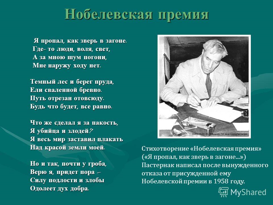 Пастернак стих о звере Пастернак стих о звере