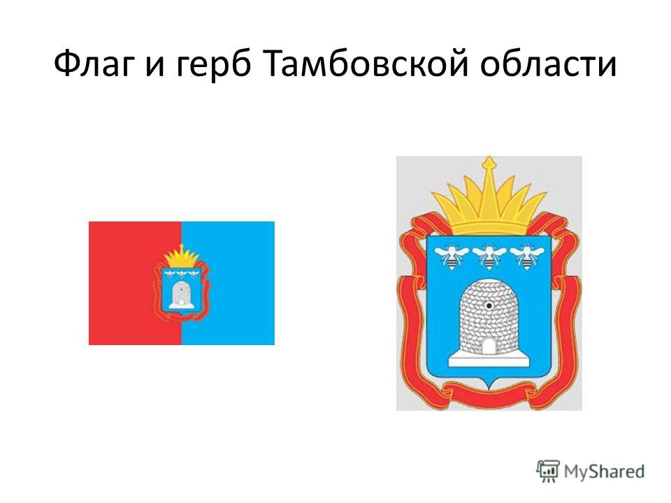 Флаг Тамбовской Области Фото