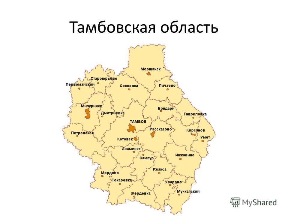 Регистрация пациентов на прием врача