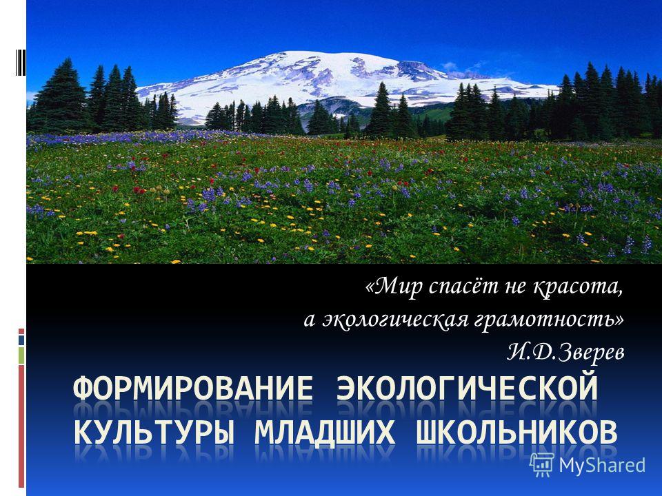 Платье длинные шить Платье длинные шить