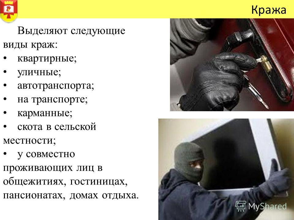 мог чем воровство отличается от грабежа оказался настолько
