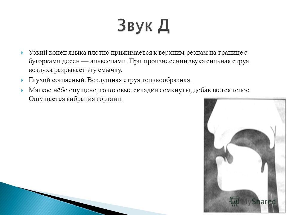 САМАЯ СИЛЬНАЯ Черепашка Ниндзя - YouTube