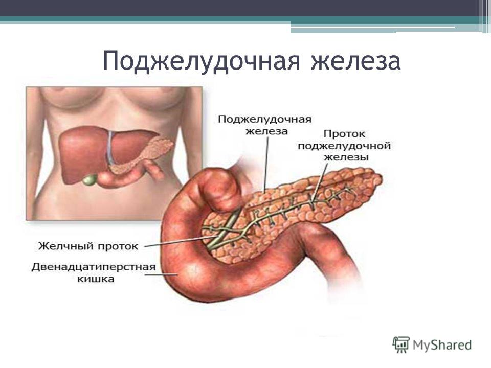 МРТ поджелудочной железы - Виды МРТ