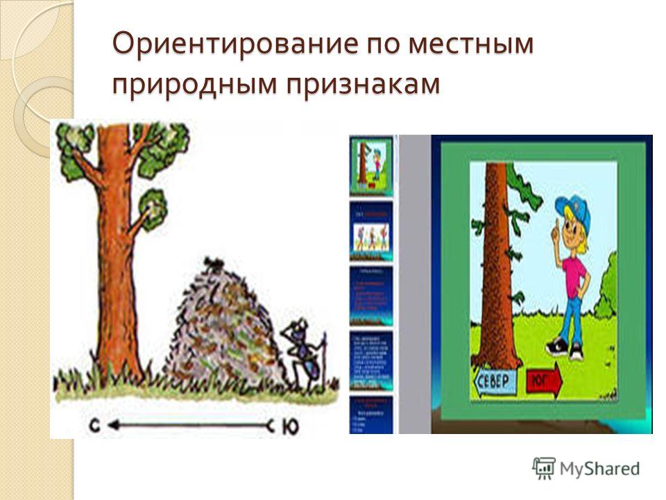 Нарисуй по каким природным признакам можно определить стороны горизонта 2 класс окружающий мир